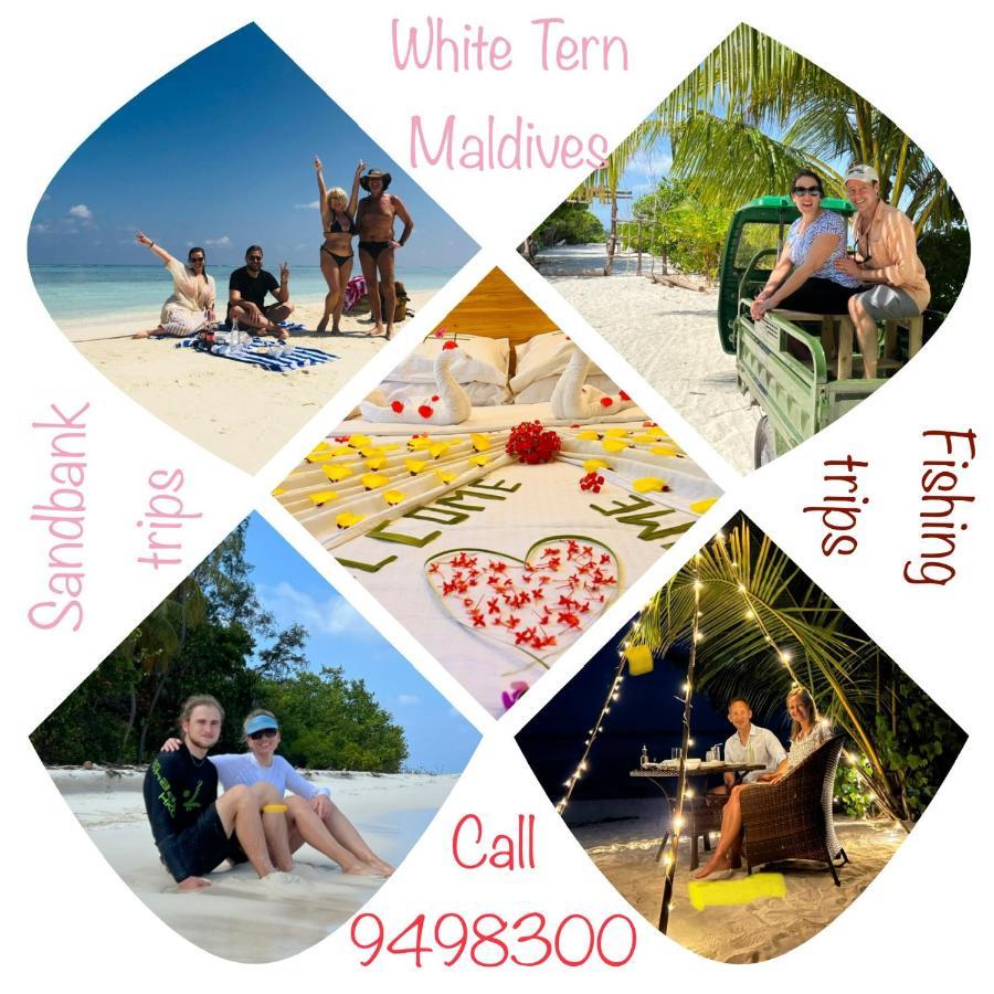 White Tern Maldives Hotel Maamigili Island Exterior photo